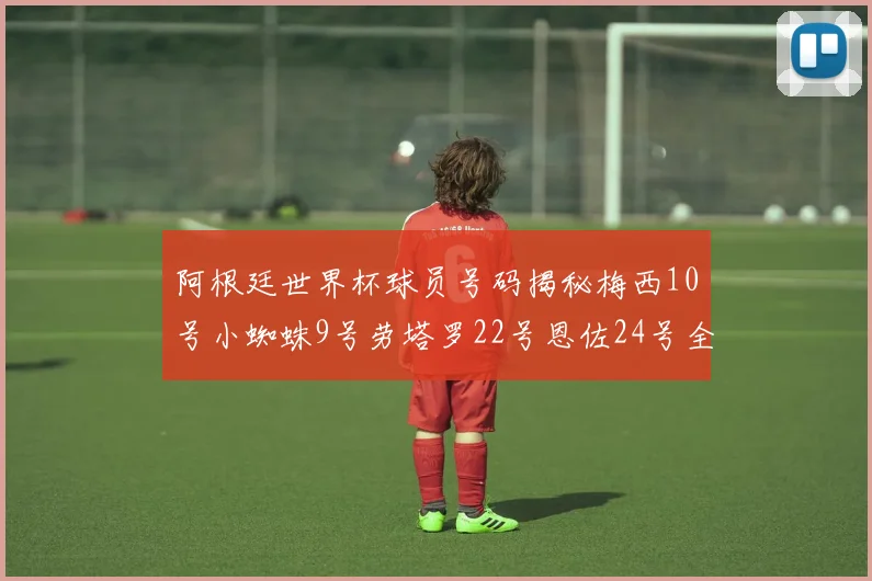 阿根廷世界杯球员号码揭秘梅西10号小蜘蛛9号劳塔罗22号恩佐24号全解析